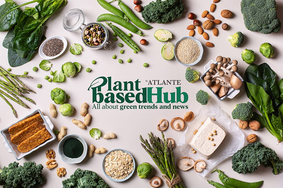 plant based hub