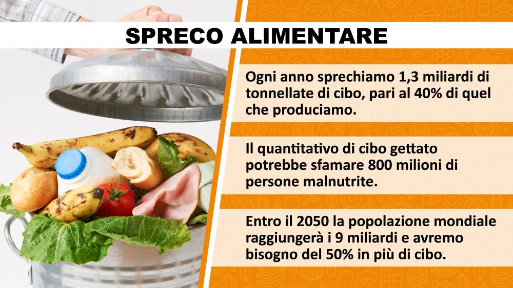 Spreco Alimentare nel mondo 