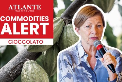 allarme cacao prezzo cacao